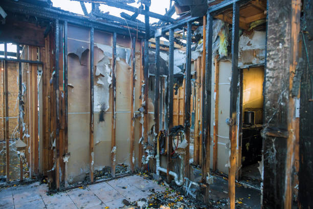 Professional Fire Damage Removal technician working in Elsmere, DE
